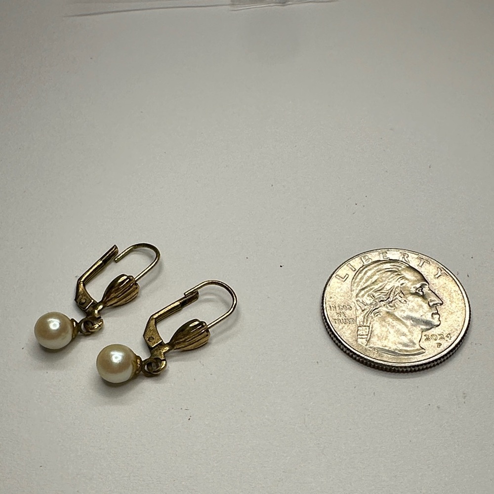 Elegant Golden and Pearlescent Drop Earrings